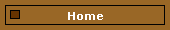 Home Icon Stop the Cop